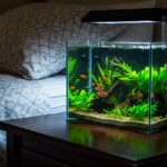Peixes que vivem sozinhos: Dicas para aquários individuais