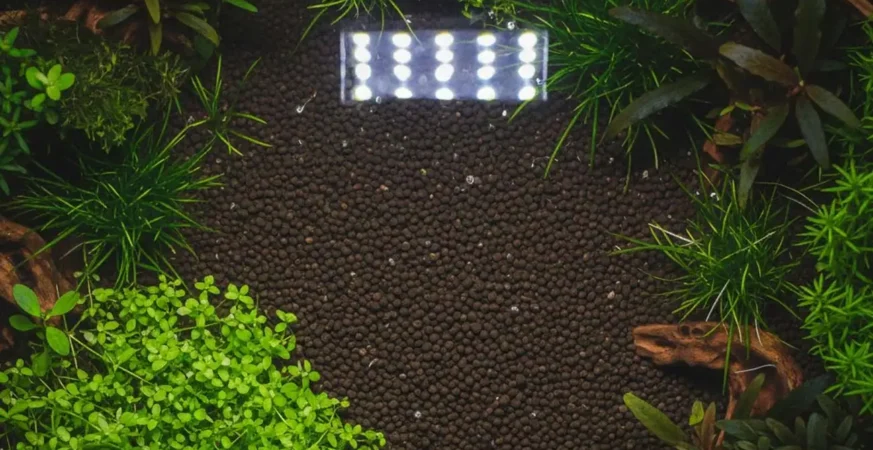 Reciclagem de substrato para aquário